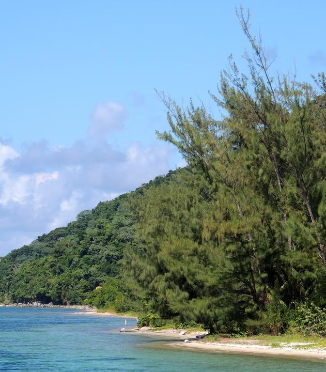 Guanaja Caribbean Cottages Room photo